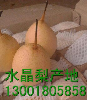 要找果型好，果面干净的水晶梨就到水晶梨产地河北赵县