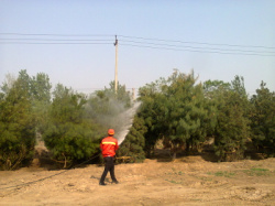 提供打药车租赁