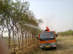 北京园林喷药车出租公司电话