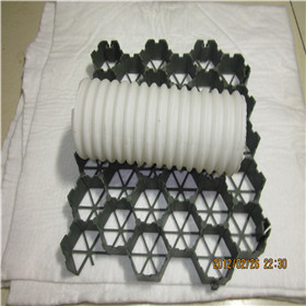 宝鸡植草格厂家