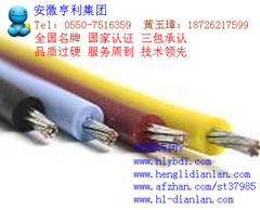(吉林森工)(ZR-KHF46PV控制电缆)(达州)